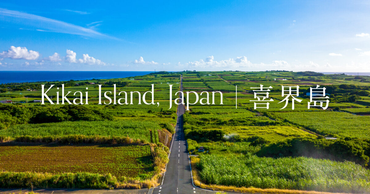 9dbbcabeaabb19073e9d3192df23a4