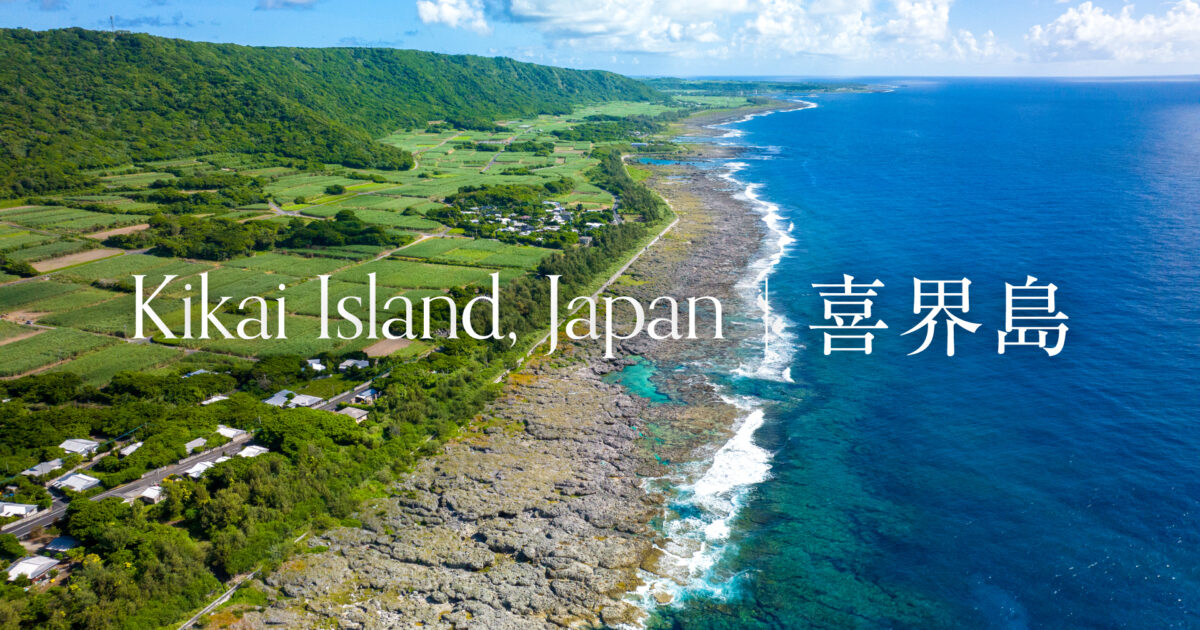 令和5年度 喜界島プロモーション｜81plus inc.