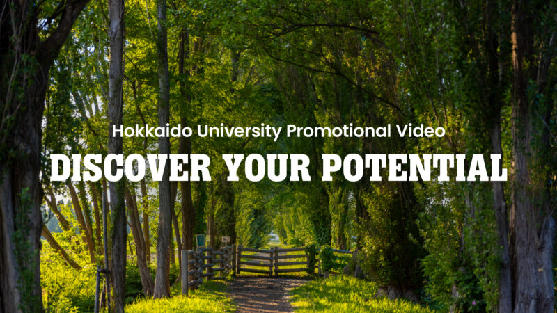 Discover Your Potential