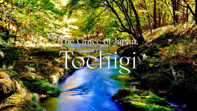 The Grace of Japan, Tochigi